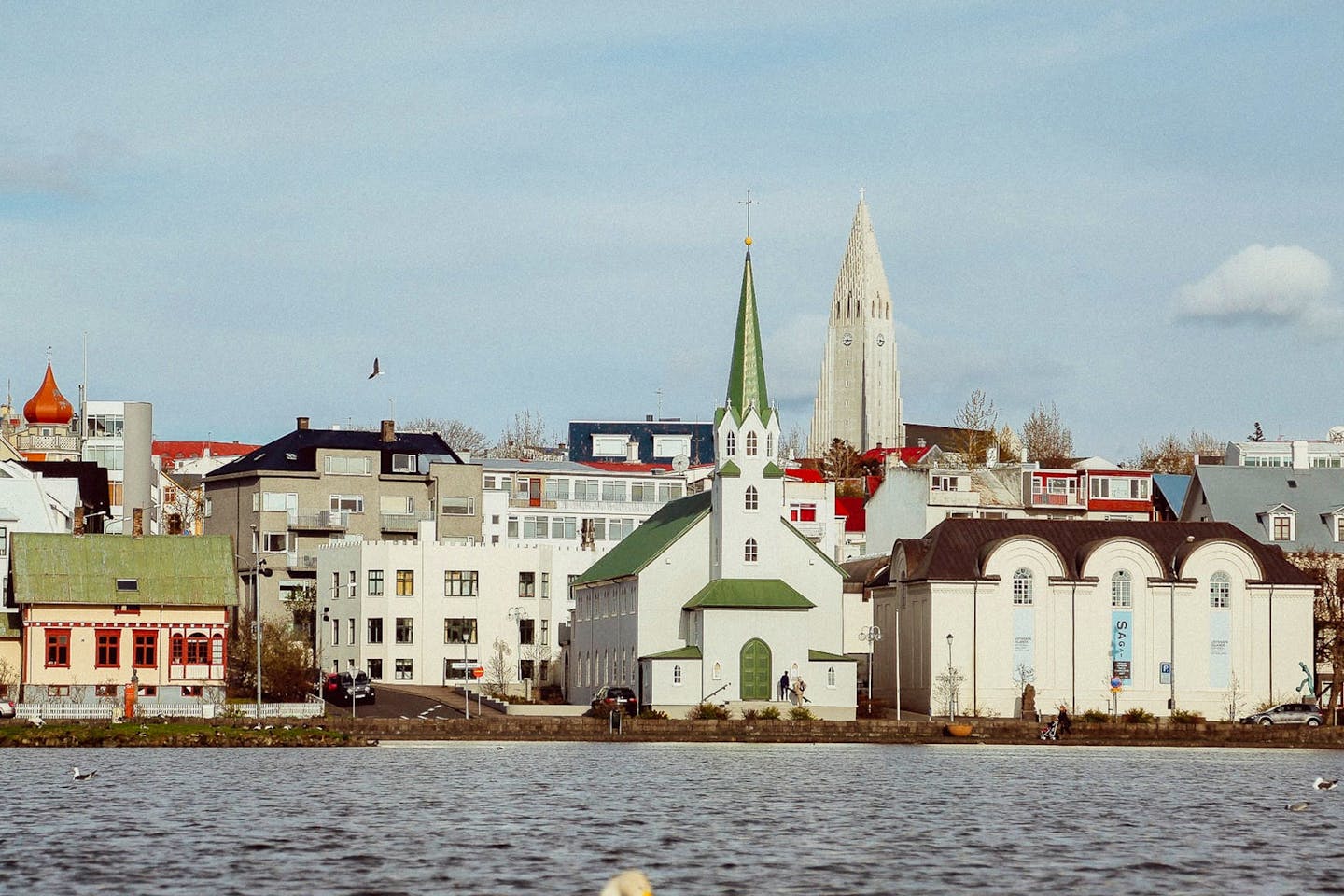 Coliving in Reykjavík