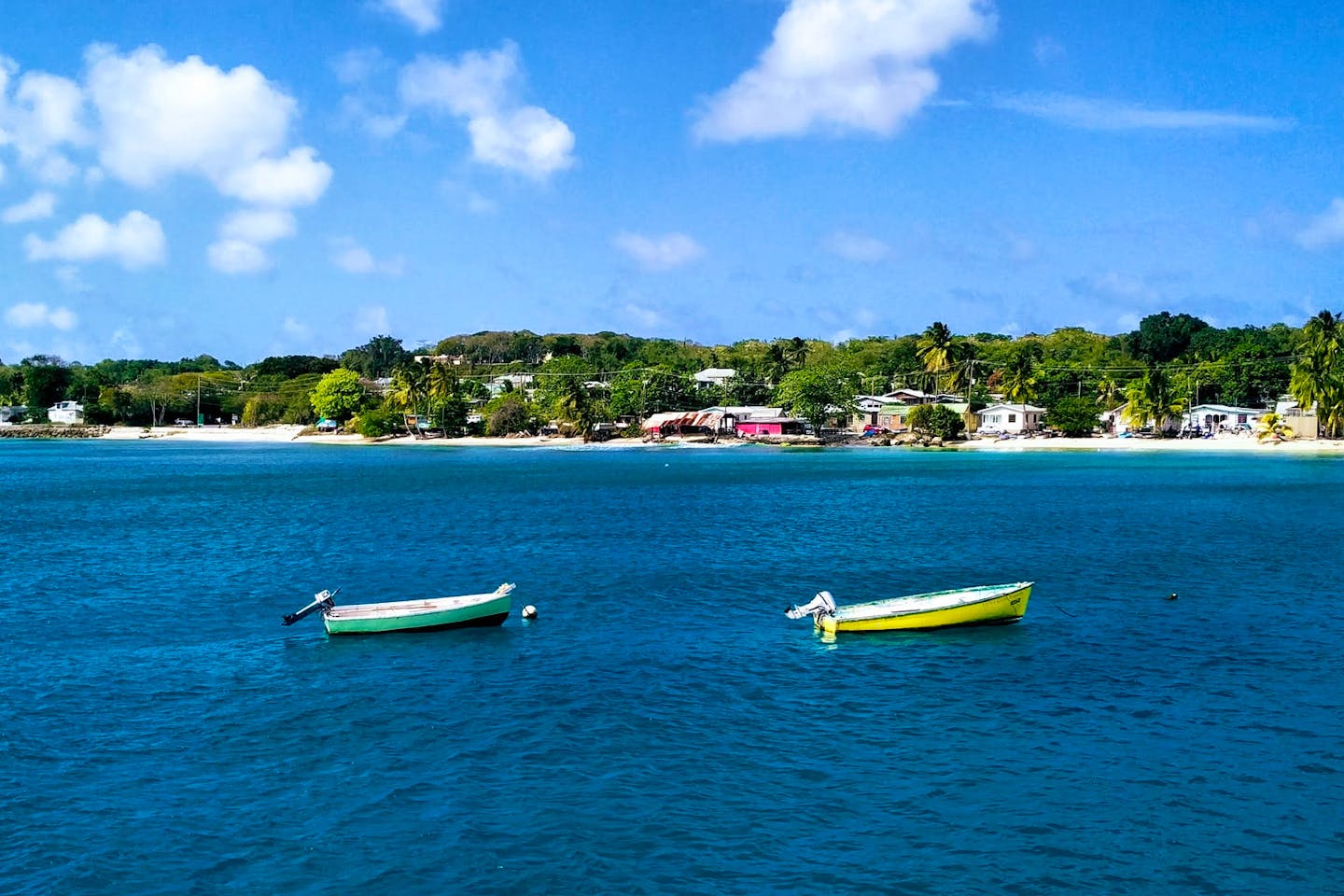Coliving in Barbados