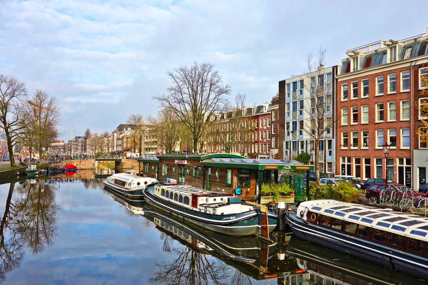 Coliving in Amsterdam