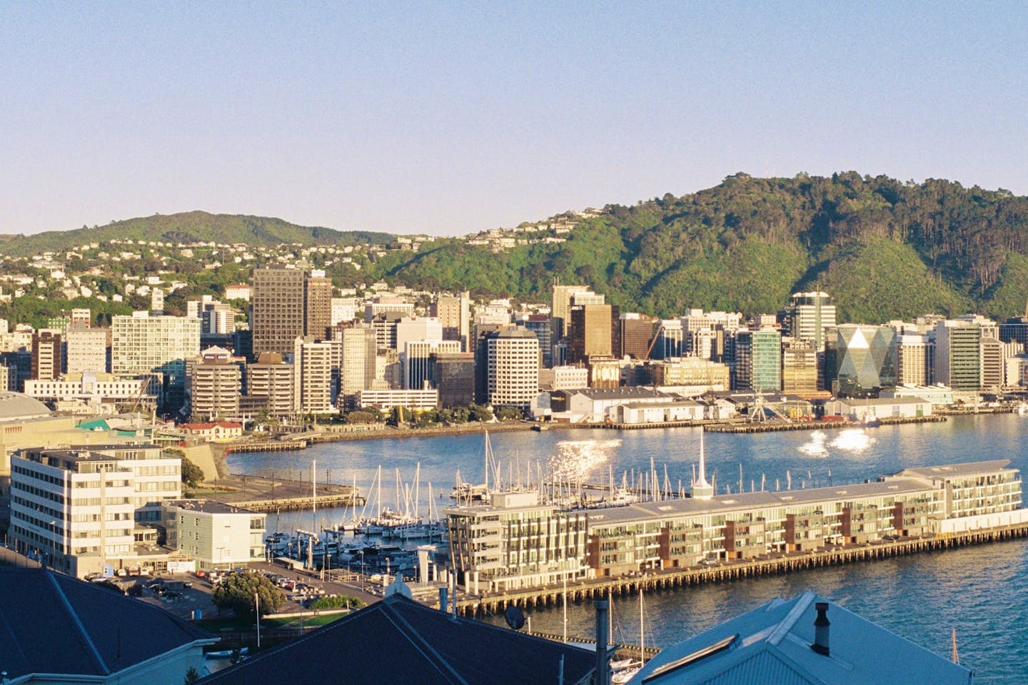 Coliving in Wellington