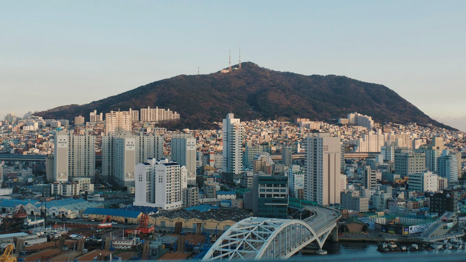 Coliving in Busan