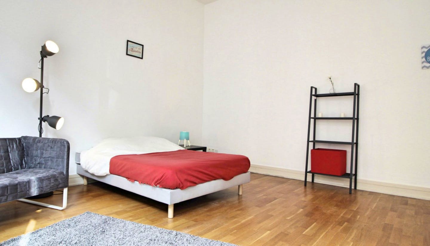 Large apartment located close to the Botanical Garden in Strasbourg