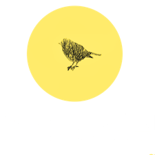 Free Hostels Roma